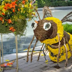 Avenida Presidente Masaryk - Miguel Hidalgo