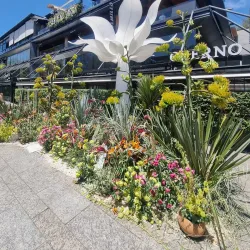 Avenida Presidente Masaryk - Miguel Hidalgo