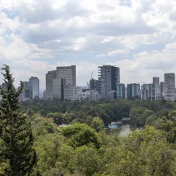 Chapultepec Castle (Castillo de Chapultepec) - Miguel Hidalgo
