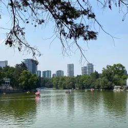 Chapultepec Park (Bosque de Chapultepec) - Miguel Hidalgo