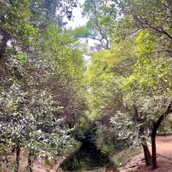 Chapultepec Park (Bosque de Chapultepec) - Miguel Hidalgo
