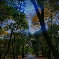 Chapultepec Park (Bosque de Chapultepec) - Miguel Hidalgo