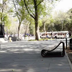 Chapultepec Park (Bosque de Chapultepec) - Miguel Hidalgo