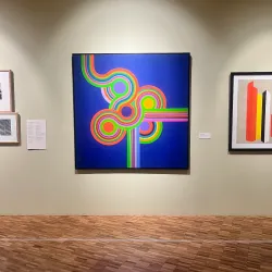 Museo de Arte Moderno - Miguel Hidalgo