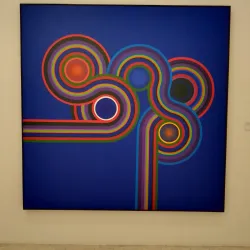 Museo Tamayo Arte Contemporáneo - Miguel Hidalgo