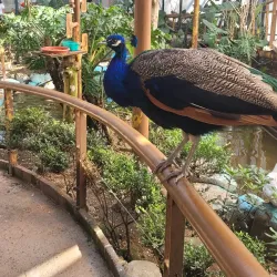 Parque Lincoln - Miguel Hidalgo