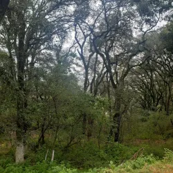 Mirador de Mineral del Monte - Mineral del Monte