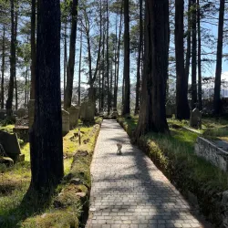 Panteón Inglés (English Cemetery) - Mineral del Monte