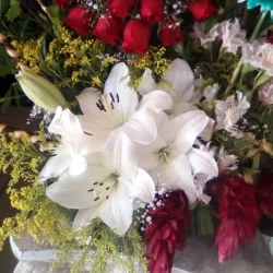 Parque La Libertad - Monclova