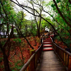 Parque Ecológico Chipinque - Monterrey