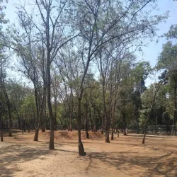 Aqueduct of Morelia - Morelia