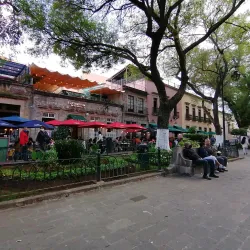 Jardín de las Rosas - Morelia
