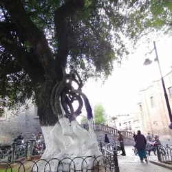 Jardín de las Rosas - Morelia