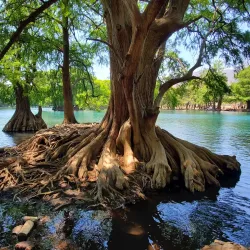 Lago de Camécuaro National Park - Morelia