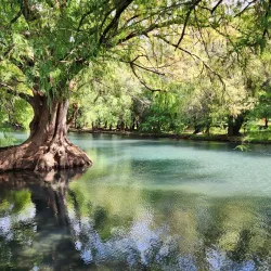 Lago de Camécuaro National Park - Morelia