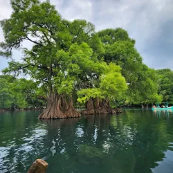 Lago de Camécuaro National Park - Morelia