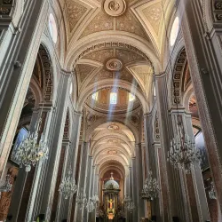 Morelia Cathedral - Morelia