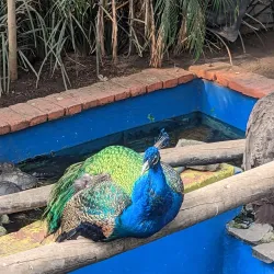 Parque del Pueblo - Nezahualcóyotl