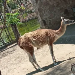 Parque del Pueblo - Nezahualcóyotl