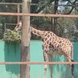 Parque del Pueblo - Nezahualcóyotl
