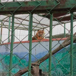 Parque del Pueblo - Nezahualcóyotl