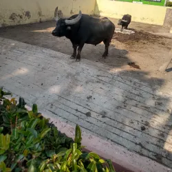 Parque del Pueblo - Nezahualcóyotl