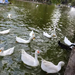 Parque del Pueblo - Nezahualcóyotl