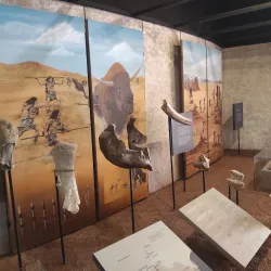 Museo de las Culturas del Norte - Nuevo Casas Grandes