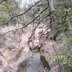 Zona Arqueológica de Cuarenta Casas - Nuevo Casas Grandes