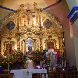 El Tule Tree (Arbol del Tule) - Oaxaca de Juarez