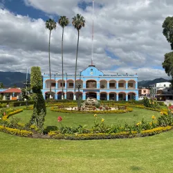 El Tule Tree (Arbol del Tule) - Oaxaca de Juarez