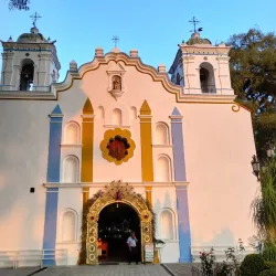 El Tule Tree (Arbol del Tule) - Oaxaca de Juarez