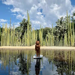 Ethnobotanical Garden of Oaxaca - Oaxaca de Juarez