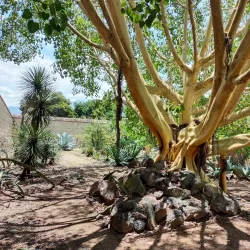 Ethnobotanical Garden of Oaxaca - Oaxaca de Juarez
