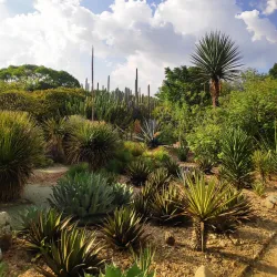 Ethnobotanical Garden of Oaxaca - Oaxaca de Juarez