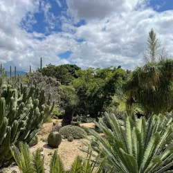Ethnobotanical Garden of Oaxaca - Oaxaca de Juarez