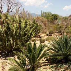 Ethnobotanical Garden of Oaxaca - Oaxaca de Juarez