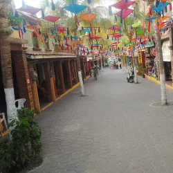 Local Handicraft Workshops - Petatlan