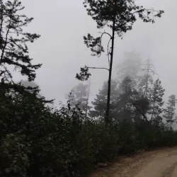 Nearby Sierra Madre del Sur - Petatlan