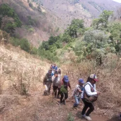 Nearby Sierra Madre del Sur - Petatlan