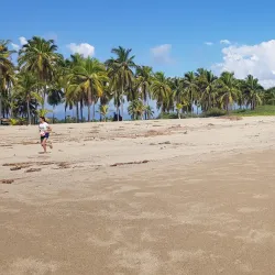 Petatlán Beach - Petatlan
