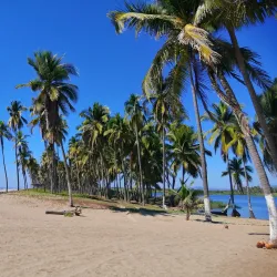 Petatlán Beach - Petatlan