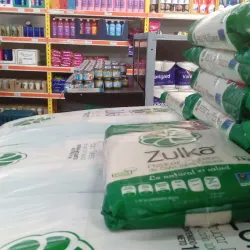 Petatlán Market - Petatlan