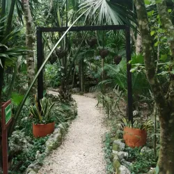 Cenote Chaak Tun - Playa del Carmen