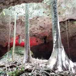 Cenote Chaak Tun - Playa del Carmen