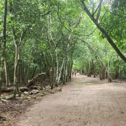 Coba Mayan Ruins - Playa del Carmen