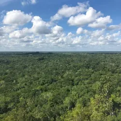 Coba Mayan Ruins - Playa del Carmen
