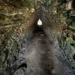 Coba Mayan Ruins - Playa del Carmen