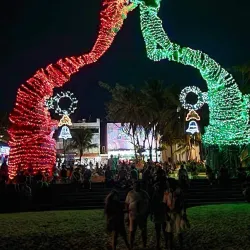 Playa del Carmen Beach - Playa del Carmen