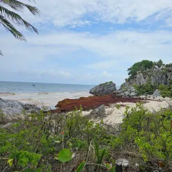 Tulum Mayan Ruins - Playa del Carmen